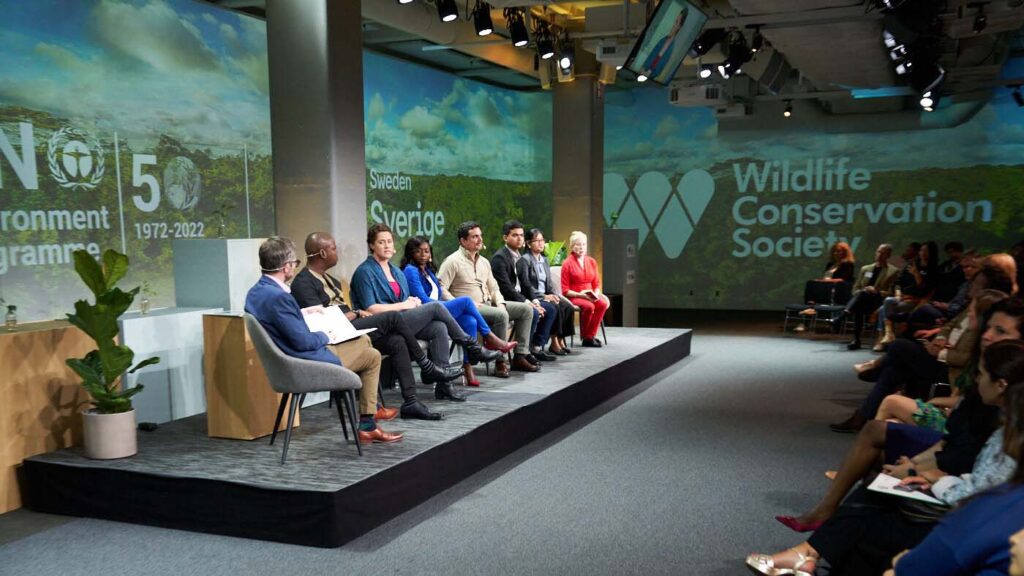 Participants at a hybrid meeting