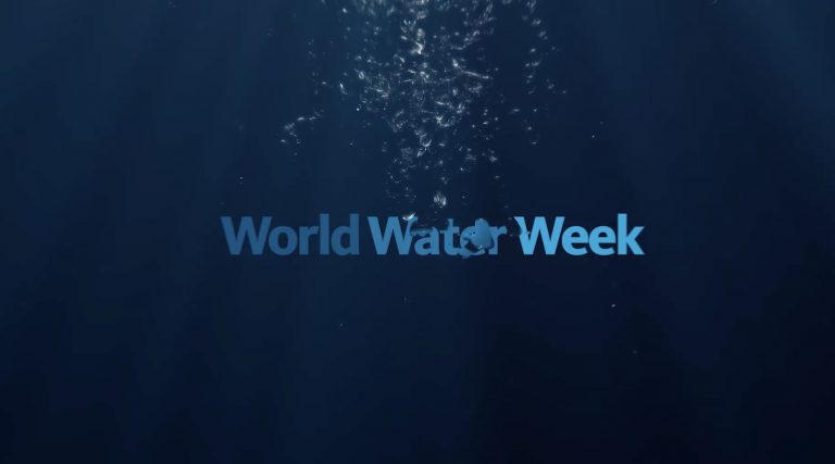 World water week 2024 adapt