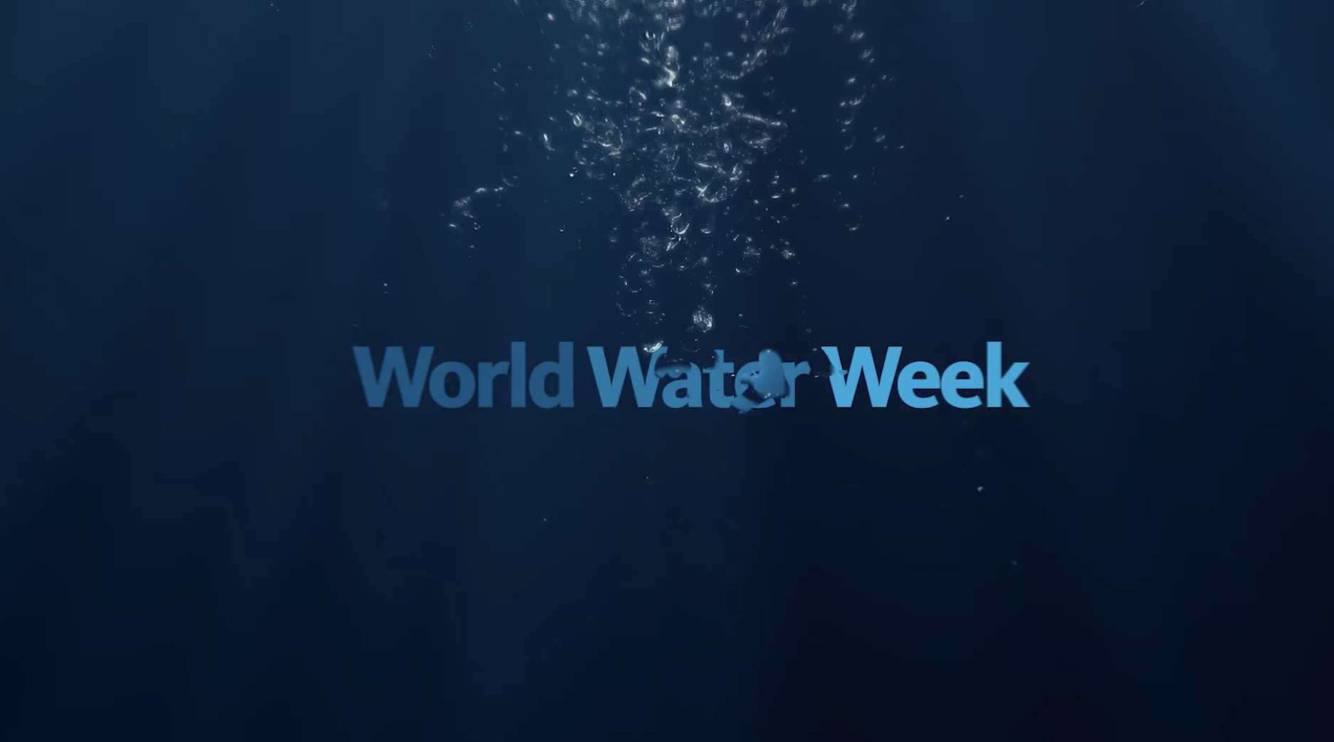 World water week 2024 adapt