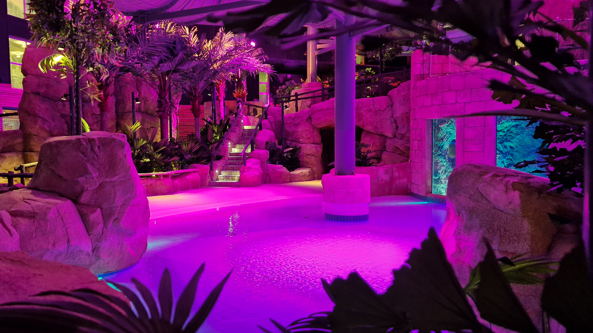 Indoor pool area with large rocks, palm trees, and lush plants, illuminated by vibrant pink and purple lights. A staircase and glass-walled room are in the background, creating a tropical, resort-like atmosphere.