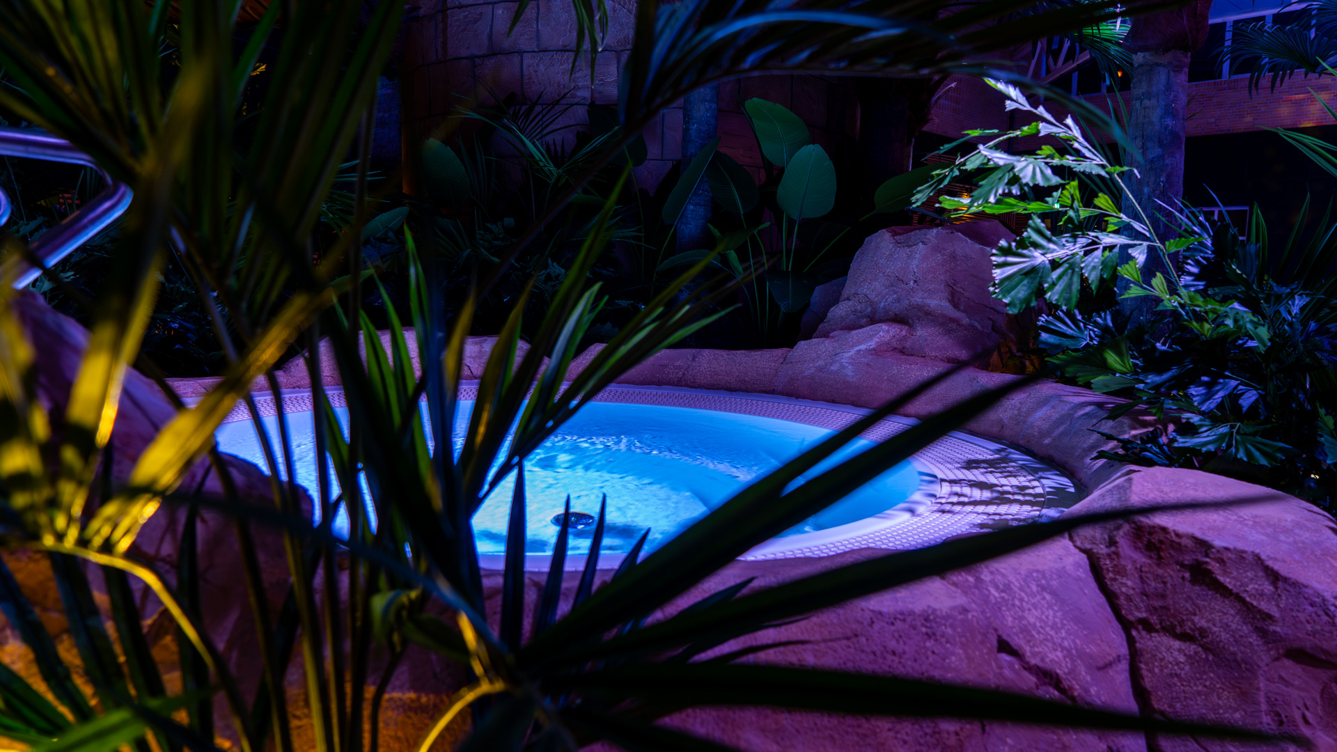 A small, circular hot tub with blue water is surrounded by artificial rocks and lush tropical plants, all illuminated by colorful, moody lighting in an indoor setting.
