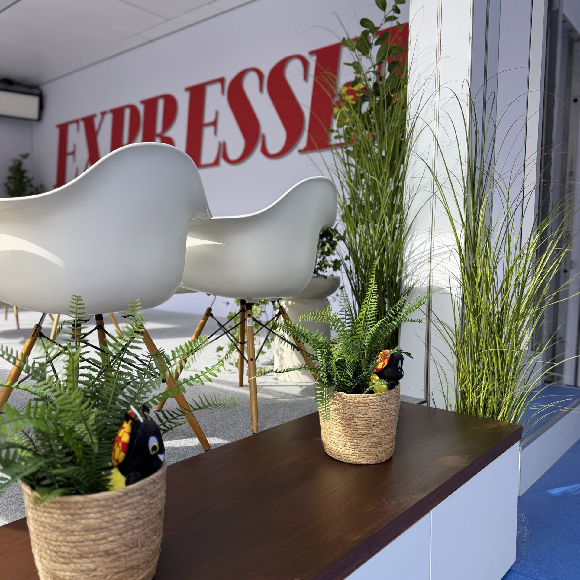 Two white modern chairs sit on a raised platform in front of a wall with large red letters reading EXPRESS. In the foreground, green potted plants and tall grasses are arranged along a wooden ledge.